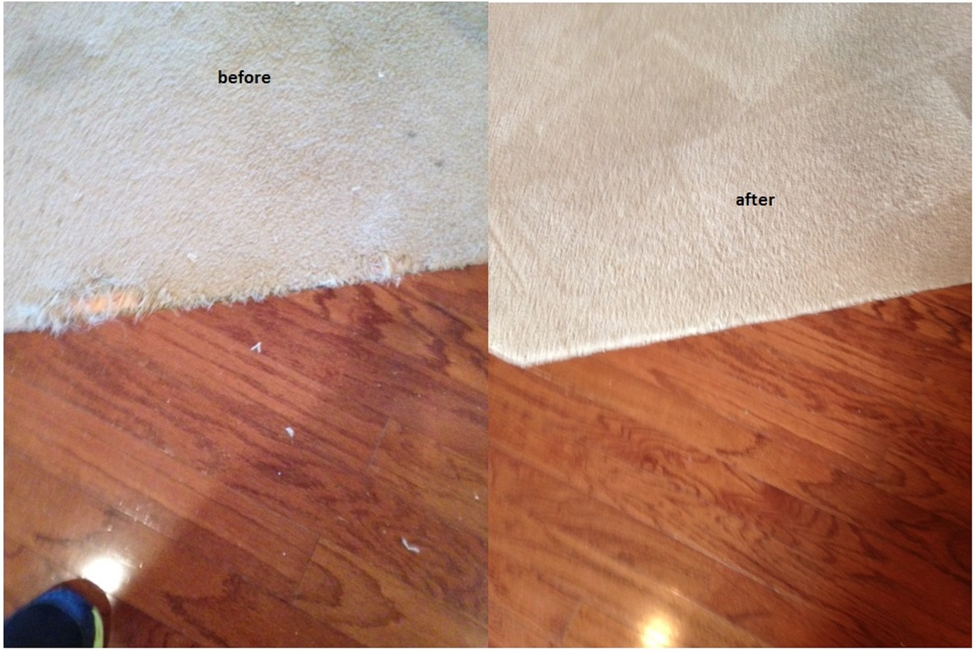 Carpet Repair In Savannah Patching Spot Dying