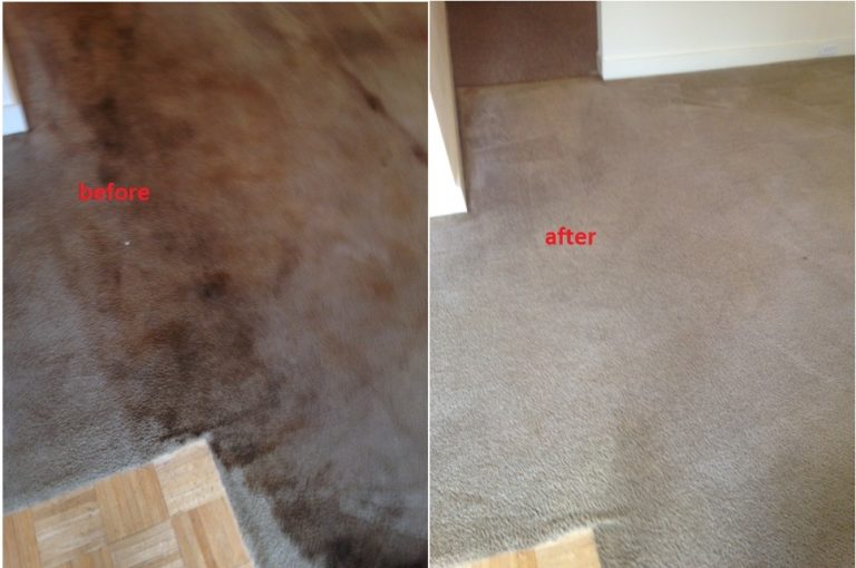carpet cleaning, carpet cleaners