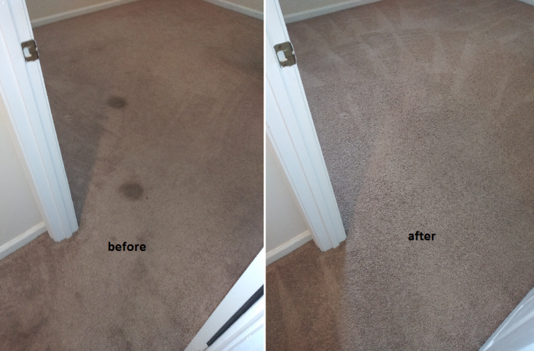 Carpet cleaning and stain removal in Savannah, Georgia.