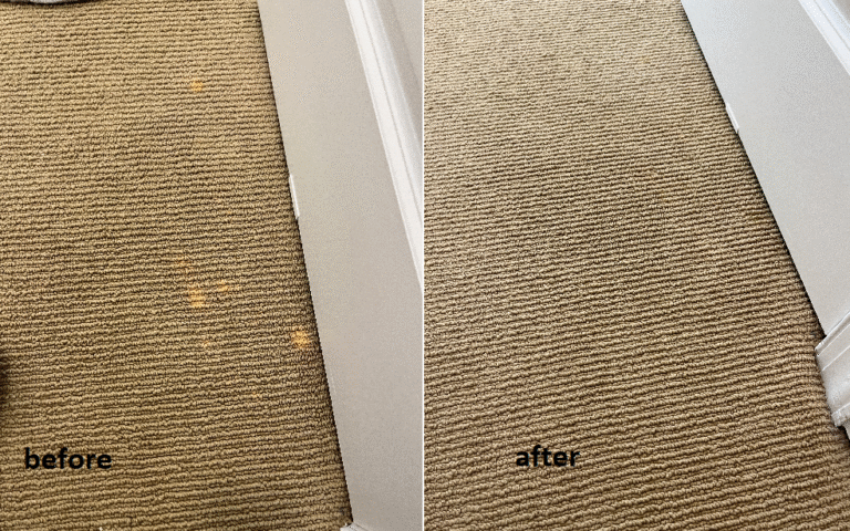 before and after pic of carpet spot dying in Savannah, Ga.