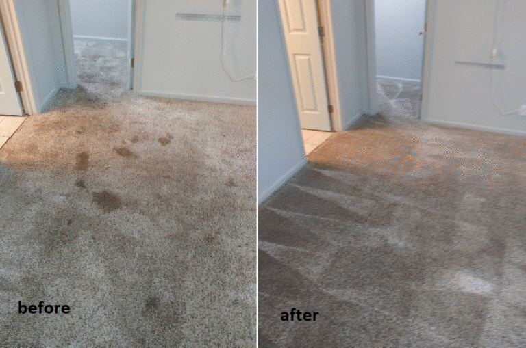 carpet cleaning in savannah, Georgia