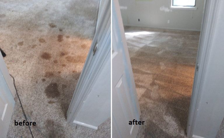 carpet cleaning in Savannah, Georgia