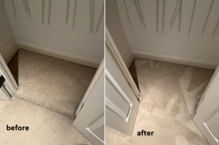 carpet stain removal in Savannah, Ga.