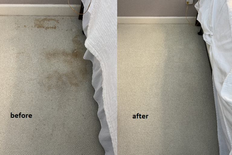picture showing carpet cleaning to remove stains